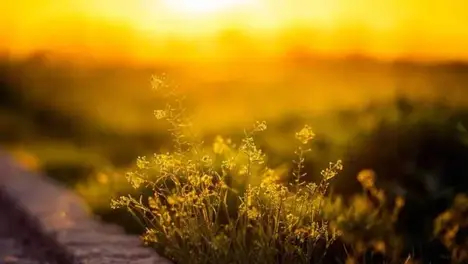 2024年英雄联盟全球总决赛赛程详解:入围赛与小组赛、淘汰赛赛制及召唤师奖杯争夺战